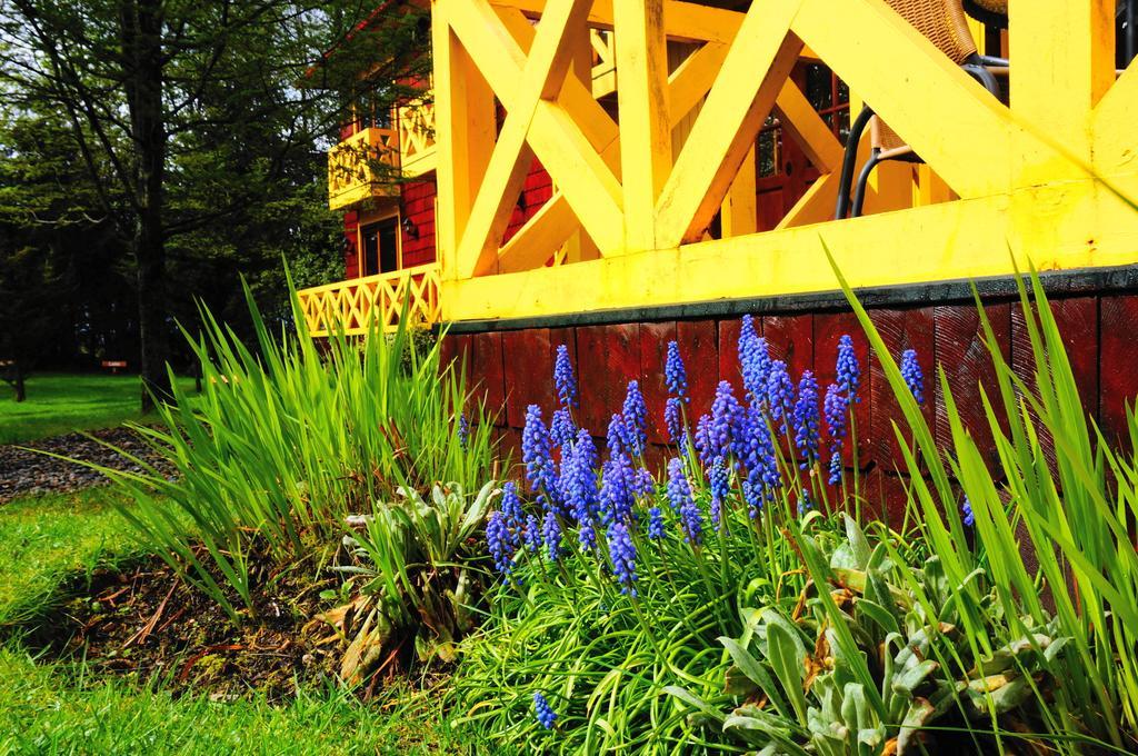 Hotel Y Cabanas Patagonia Green 푸에르토 아이센 외부 사진